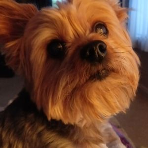 Meet your Posher, Lisa